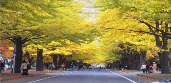 Hokkaido University Sapporo Campus